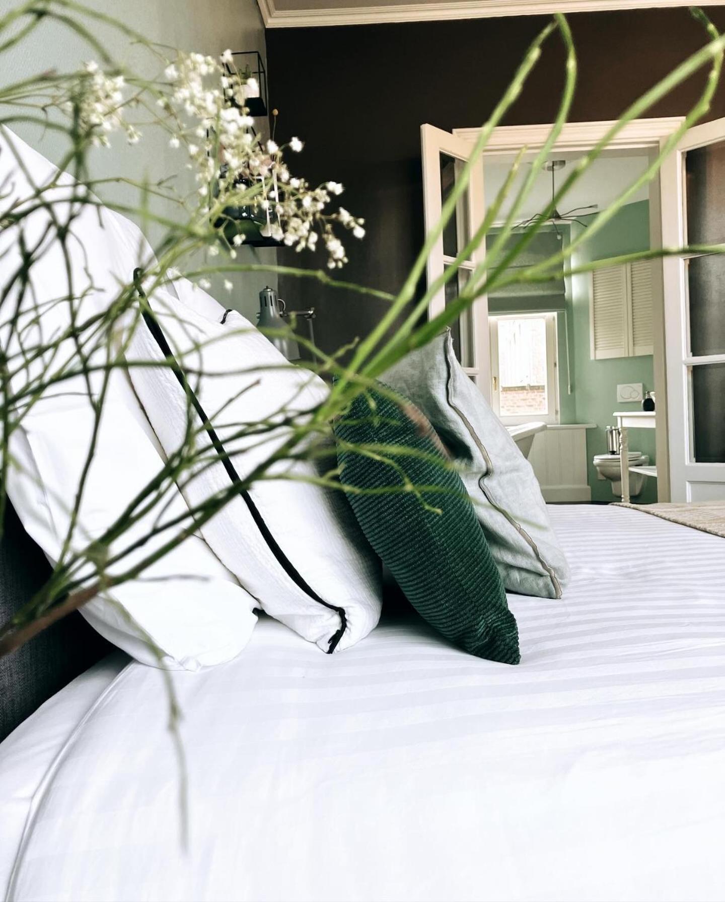 Bed and Breakfast Domus Portus Дендермонде Экстерьер фото